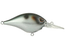 BERKLEY DIME 6 CRANKBAIT-12