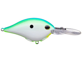 Buy citrus-shad BERKLEY DIME 10 CRANKBAIT
