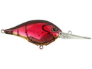 BERKLEY DIME 10 CRANKBAIT-11