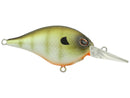 BERKLEY DIME 6 CRANKBAIT-11