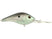 Green Shad