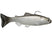 Black Gizzard Shad