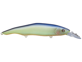 Buy bpb-chartreuse-smelt NISHINE ERIE 115 MD JERKBAIT