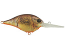 BERKLEY DIME 10 CRANKBAIT-8