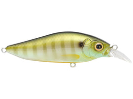 Buy gill MEGABASS FLAPSLAP