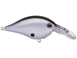 Buy honey-shad BERKLEY DIME 4 CRANKBAIT
