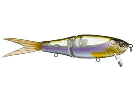 Buy biwasagi FISH ARROW / DRT RISER JACK JR