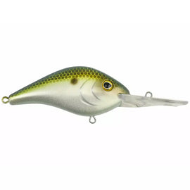 Buy irish-gold BERKLEY DREDGER