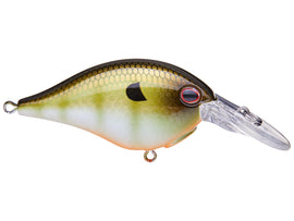 Buy killer-gill BERKLEY DIME 4 CRANKBAIT