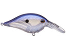 BERKLEY DIME 4 CRANKBAIT-11