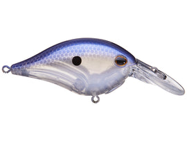 Buy blue-shad BERKLEY DIME 4 CRANKBAIT
