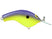 Purple Back Chartreuse