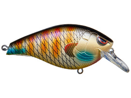 Buy blue-gill SPRO HUNTER 65 SB