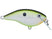 Bruised Citrus Shad