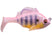 Pink Back Gill