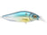 GG THREADFIN SHAD