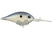 Blue Shad