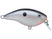 Tuxedo Shad
