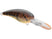 Natural Brown Craw