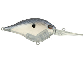 Buy blue-shad BERKLEY DIME 10 CRANKBAIT