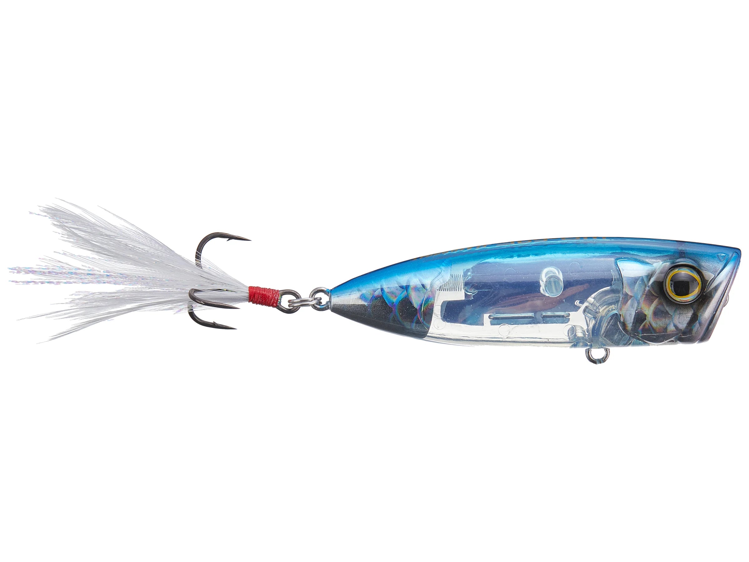 SHIMANO WORLD POP FLASH BOOST | Copperstate Tackle