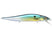 GG Threadfin Shad