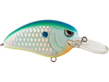 Buy citrus-shad SPRO LITTLE JOHN MD 50