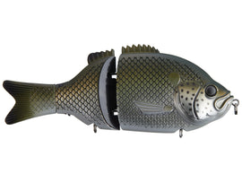 Buy jungle-perch-floating BAITSANITY EXPLORER GILL GLIDE BAIT