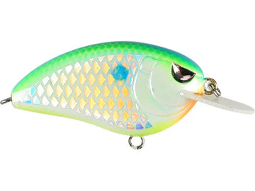 Buy citrus-shad SPRO LITTLE JOHN 50