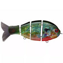 CATCH CO. BABY BULL GILL SWIMBAIT 3.75-3