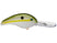 Olive Shad