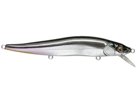 Buy m-shad MEGABASS VISION ONETEN