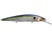 SG Threadfin Shad