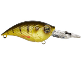 Buy yellow-perch 6TH SENSE CURVE 55