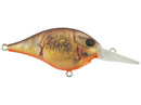 BERKLEY DIME 6 CRANKBAIT-9
