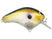 Sleeper Shad