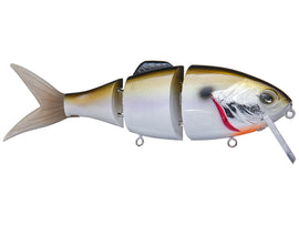 Buy shad GEECRACK GILLING NEO 160F HARD BODY SWIMBAIT
