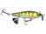 Yellow Perch