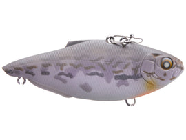 Buy goby NISHINE SIMCOE 75 SILENT LIPLESS