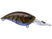 Green Pumpkin Blue Craw
