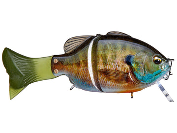 Buy 3d-male-gill IMAKATSU GILLROID MINNIE