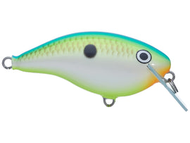Buy citrus-shad RAPALA OTT&#39;S GARAGE OG ROCCO 5