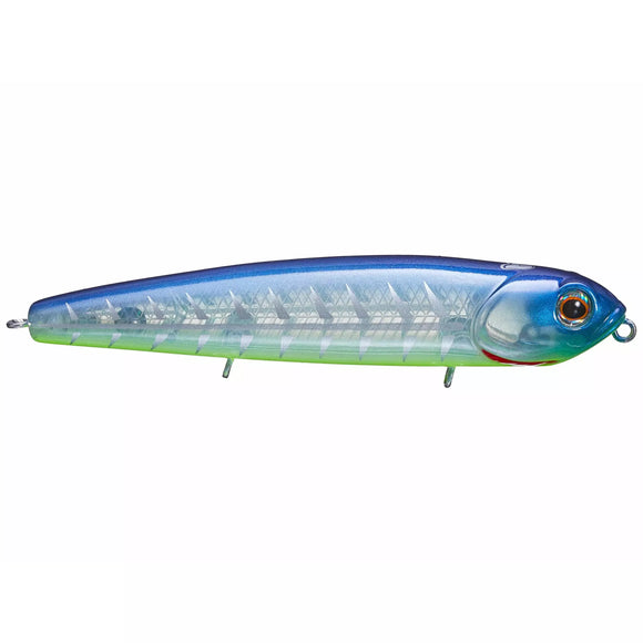 TECKEL KICKKNOCKER PUP