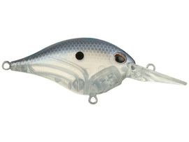 Buy blue-shad BERKLEY DIME 6 CRANKBAIT
