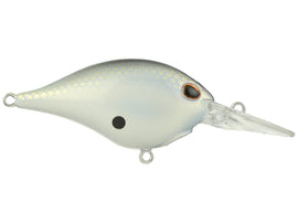 Buy honey-shad BERKLEY DIME 6 CRANKBAIT