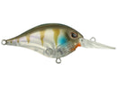 BERKLEY DIME 6 CRANKBAIT-4