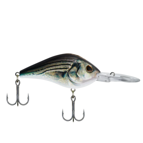 BERKLEY DREDGER 25.5