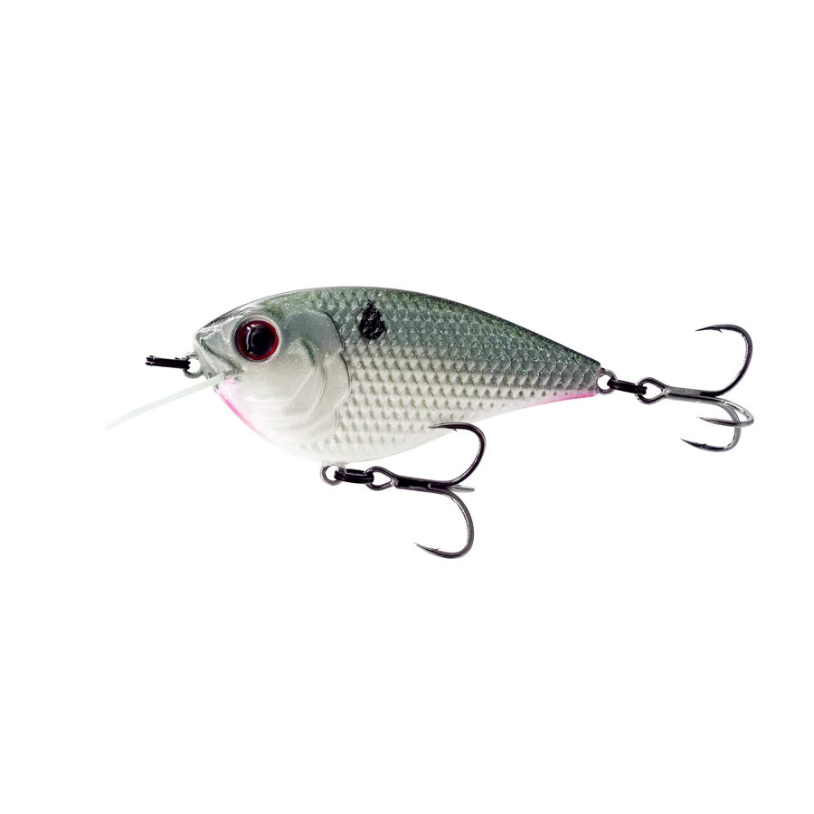 Creme Lure Co. 2 Curl Tail Shad ~ Blue Thunder ~ Soft Plastic