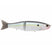 Threadfin Shad