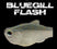 Bluegill Flash